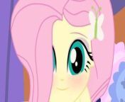 Fuck Fluttershy from  fluttershy hentai 3d uncensored