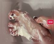 Curd on my feet - Nadine - sox4u from nagin2 xvideo photo 2gpxx sexy ani video and girl hd download com
