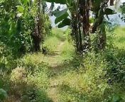 Pee POV on the Palm Plantation from jamaican woman fight on the river bank