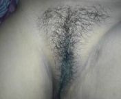 BENGALI HAIRY SUPER PUSSY from bengali hairy pussy