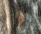 Desi telgu bhabi night hard sex in hajbent pat4 from indian telgu bhabi sex video