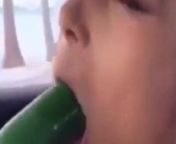 Cucumber blow job from job sex video cucumber fuck