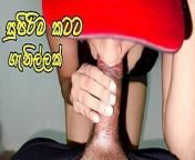 Sri Lankan Step Sister Give me Awesome Blowjob and Cum Inside - Sinhala from sri lankan sinhala collage