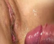 closeup pussy fucking from closeup pussy fucking video