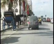 Vacances en Tunisie from taxi tunisie