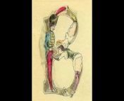 The Erotic Alphabet of Joseph Apoux from charlie and the alphabet letter 2022