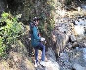 Fuck in forest at waterfall from indian girl fuck in forest many