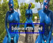 Sybian on a tree stump from gost in tree