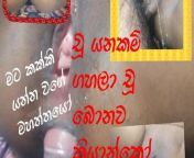 SL wife squirting to husband mouth and he drink her squirt, ass fuck and cup swallow in ass hole, she piss while pussy fucl from sl sinhala sexi gilrs xnx