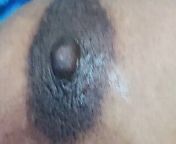 Tamil Pondati, My Sexy wife’s Dark Nipples, size 38 Boobs from 38 size boobs nude
