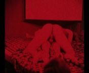 Live Sex Show From Western Europe 1970s from live sex bedshow
