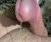 Cumming after long edging. No hands. from gay