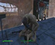 Brothel with glass windows. The Work of Prostitutes in Fallout 4 | Porno game, lesbian strapon from adlout