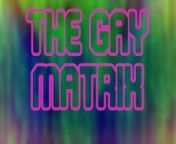 The Gay Matrix from madvix