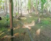 Tik Tok Teen girl pissing in coconut grove from indian girls tik tok walk challenge youtube videos
